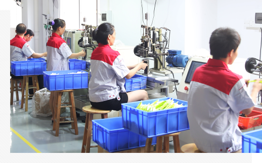 專業(yè)生產團隊